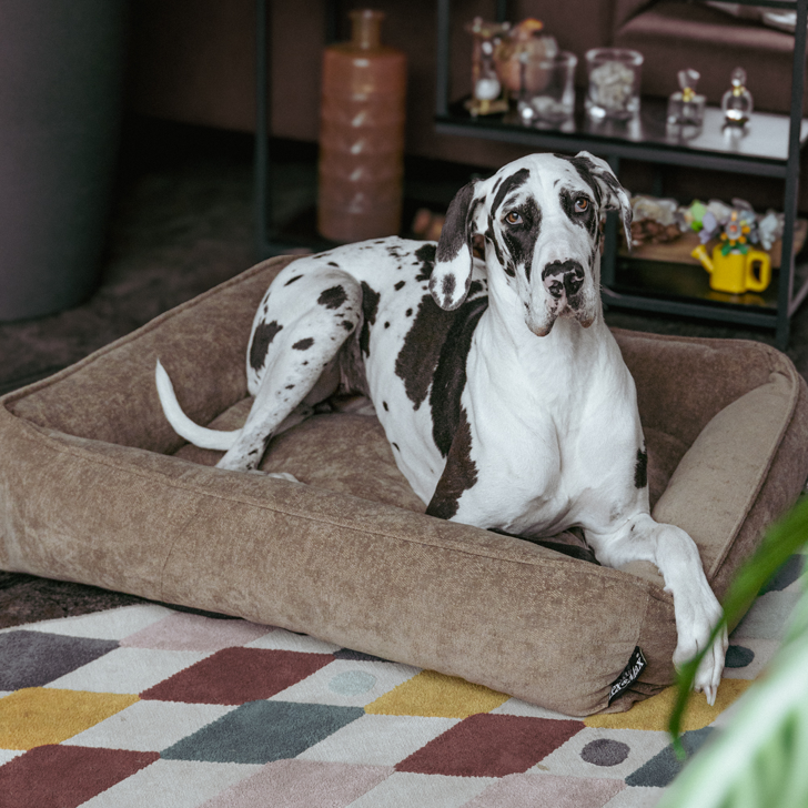Lex&Max Sydney - Hundebett - Orthopädisch - Taupe