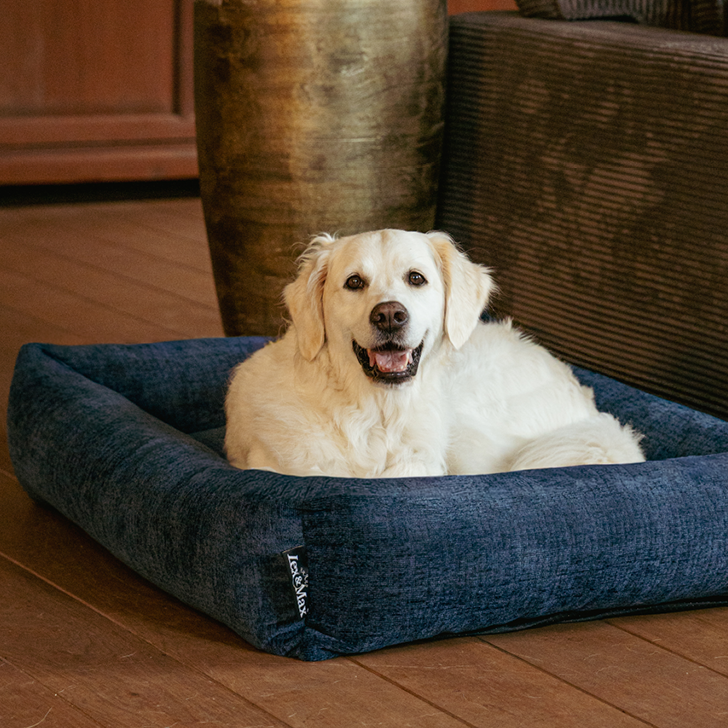 Lex&Max Vienna - Hundebett - Orthopädisch - Dunkelblau