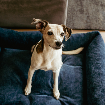 Lex&Max Vienna - Hundebett - Orthopädisch - Dunkelblau