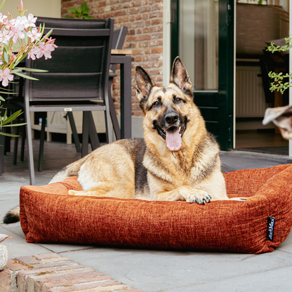 Lex&Max Vienna - Hundebett - Orthopädisch - Terrakotta