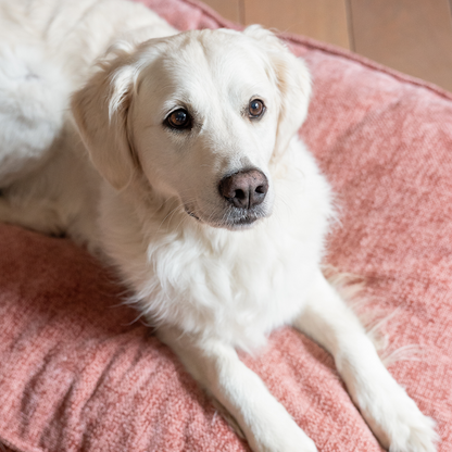 Lex&Max Ibiza - Hundematratze - Orthopädisch - Rosa
