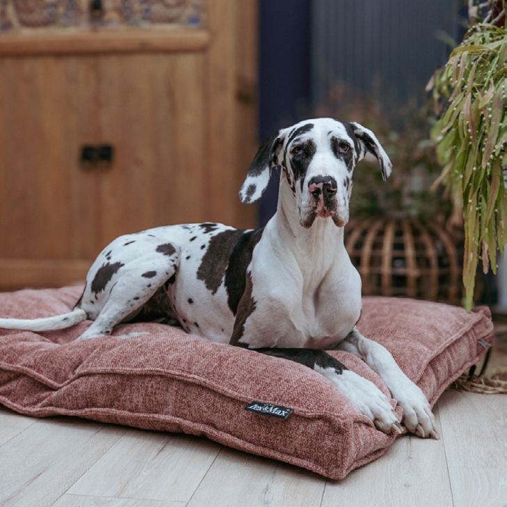 Lex&Max Ibiza - Hundematratze - Orthopädisch - Rosa