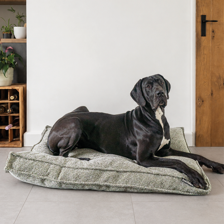 Lex&Max Malibu - Hundematratze - Orthopädisch - Grün