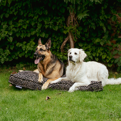 Lex&Max Mumbai - Hundematratze - Orthopädisch - Schwarz