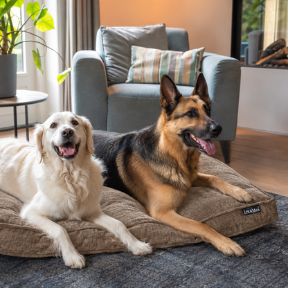 Lex&Max Sydney - Hundematratze - Orthopädisch - Taupe