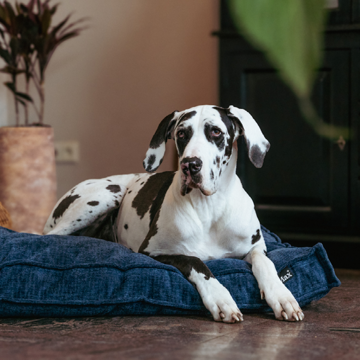 Lex&Max Vienna - Hundematratze - Orthopädisch - Dunkelblau