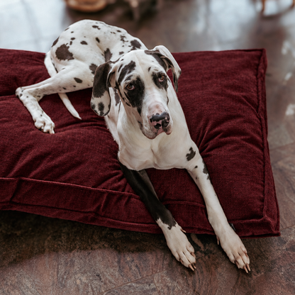 Lex&Max Vienna - Orthopedic Dog Mattress - Red