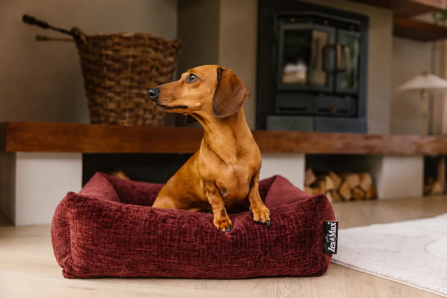 Hond ligt comfortabel in een Lex&Max hondenmand in een stijlvol interieur