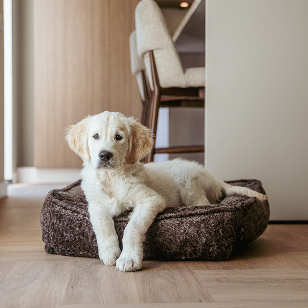 Lex&Max Monaco - Dog bed - Orthopedic - Dark gray - 120 x 85 cm
