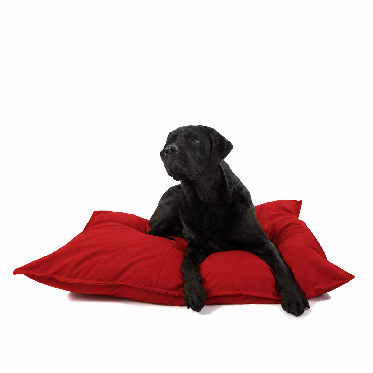 Lex&Max Tivoli - Coussin pour chien - Orthopédique - Bordeaux - 100 x 70 x 16 cm