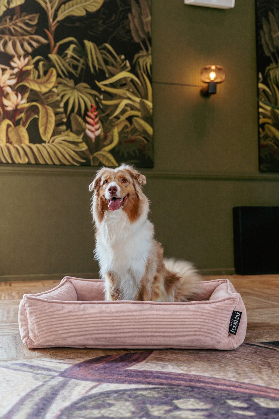 Hond rust in een Lex&Max mand