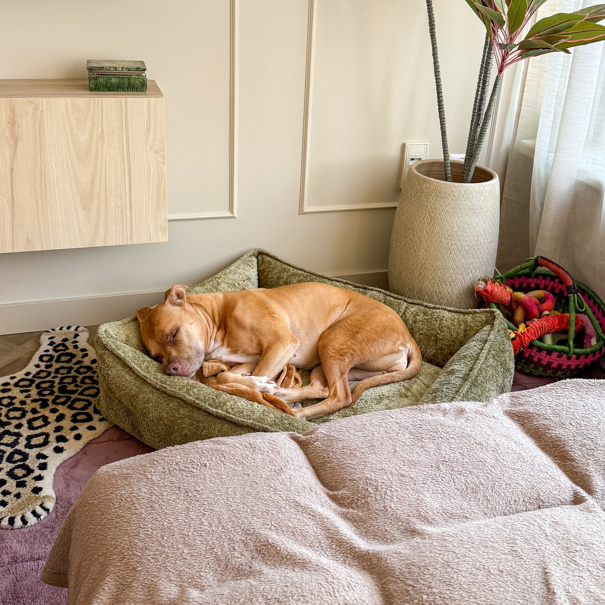 Lex&Max Monaco - Hundebett - Orthopädisch - Grün